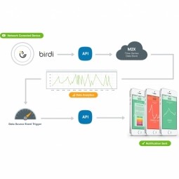 M2X Integration - Birdi - AT&T Industrial IoT Case Study