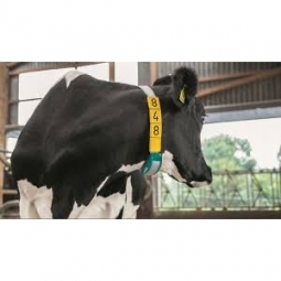 AUTOMATED DAIRY SYSTEM MONITORING WITH WIN-911 PRO ALARM NOTIFICATION SOFTWARE - WIN-911 Industrial IoT Case Study