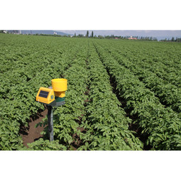 Executing Precision Farming to Maximize Yields - Dacom Industrial IoT Case Study