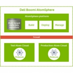 Cloud Approach Increases Productivity, Lowers TCO - Dell Boomi (Dell) (Dell Technologies) Industrial IoT Case Study