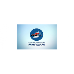 Fleet Management Connectivity Solution for Marzam - Telefonica Industrial IoT Case Study
