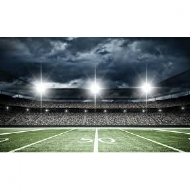 Engaging Fans at one of the Largest Stadiums in the USA - Sirqul, Inc Industrial IoT Case Study