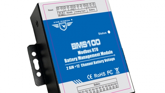 BMS100 Battery monitoring management system