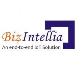 Biz4Intellia: End to End IoT Solutions