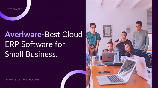 Cloud ERP Software Solutions