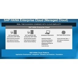 SAP HANA Enterprise Cloud Service