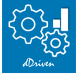 dDriven Solutions 