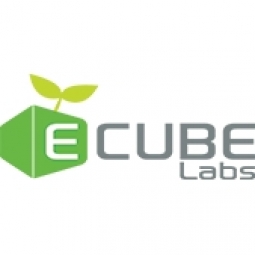 E-cube labs